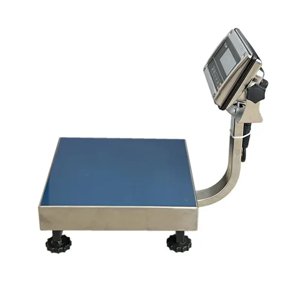 LESAK 1T3030NNRWS/DR, 30;60kg/10;20g, 300x300mm, nerez (Můstková nerezová voděodolná váha s dvojím rozsahem a nerezovým vážním indikátorem RWS)